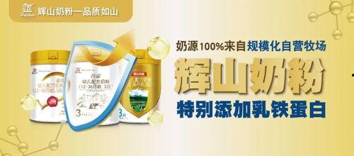 国产乳业品牌揭秘视频播放,视频播放背后的真实故事