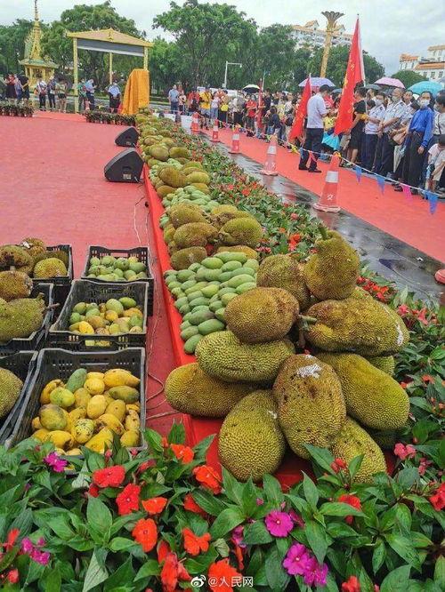 国产福利视频菠萝蜜社区,国产福利视频的盛宴与探索