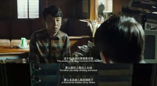 国产动作爱情免费视频,免费视频带你领略激情与浪漫