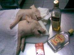 国产内衣主播视频在线看,线上直播带你领略时尚魅力