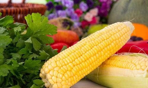 国产玉米收购视频播放,视频揭秘丰收喜悦与市场动态