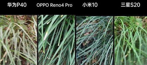 青草裸交视频国产