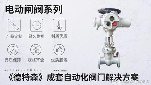 国产阀门评测视频下载,揭秘性能与品质的卓越之作