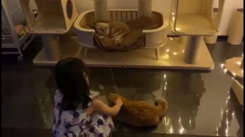 新婚打地铺国产片视频