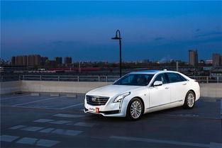 国产精神车视频播放