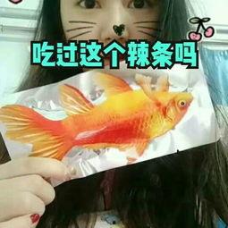 国产在线吃辣条视频