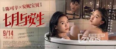 国产女同 在线视频,探索女性情感世界的独特视角