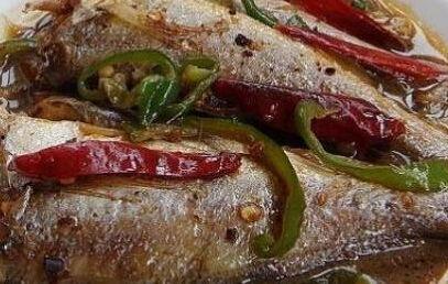 国产黄鱼网视频,探寻海洋美食的魅力之旅