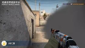 国产枪纪录视频播放