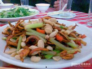 国产乡村美食视频大全,国产乡村美食视频大全精选