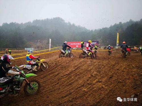 机车视频超燃国产,见证中国速度的激情与荣耀  第3张